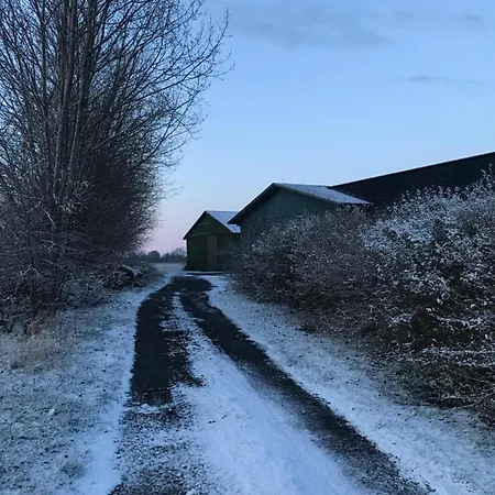 Tiny 아파트 낙스코우