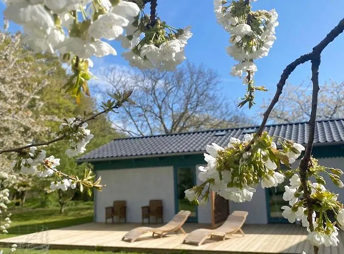 Tiny Appartamento Nakskov
